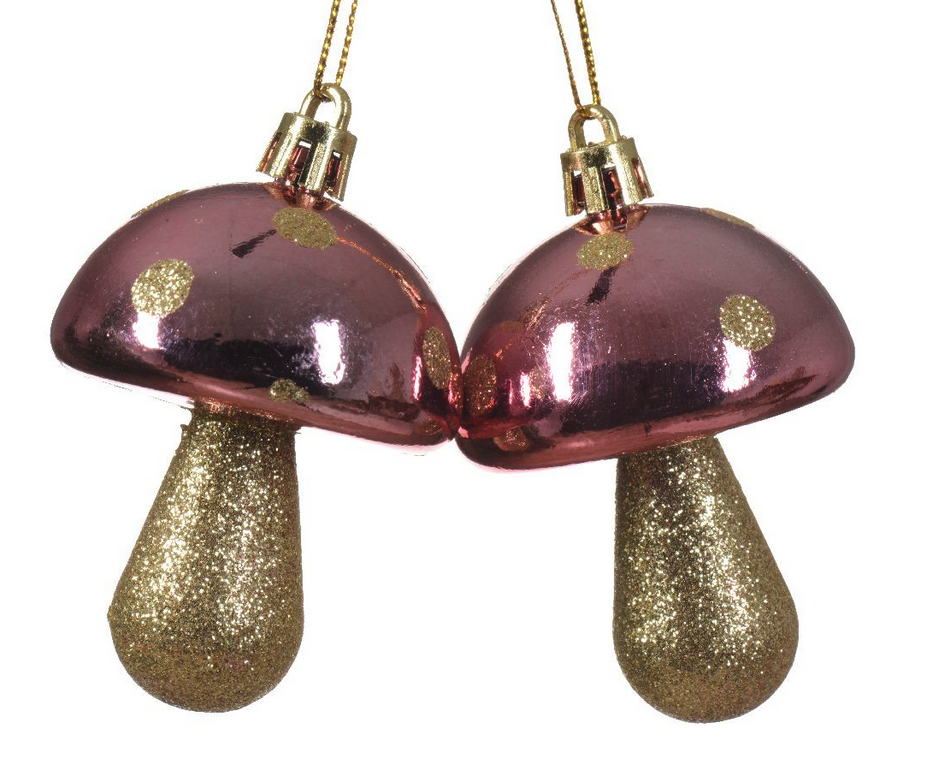 Champignon Rose et Doré