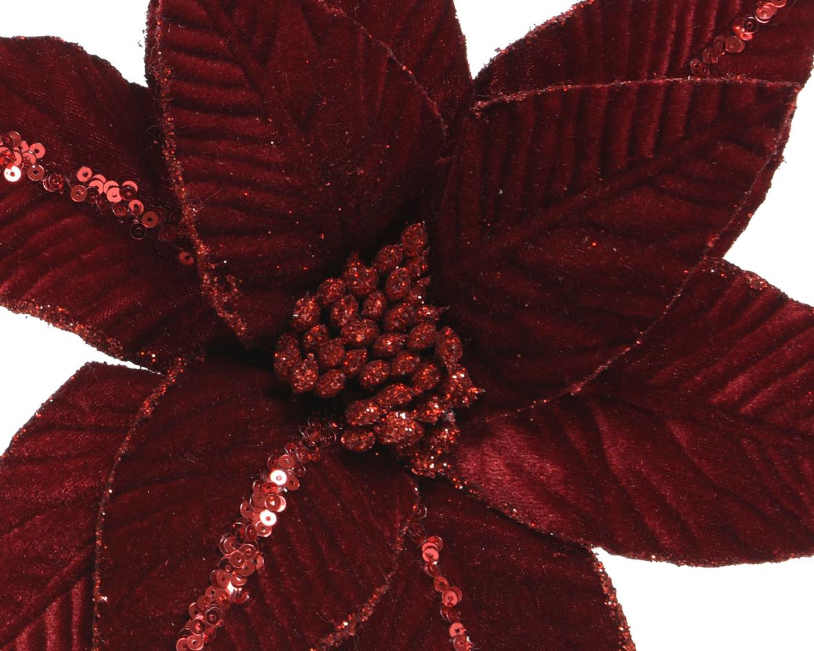 Poinsettia "Flora"