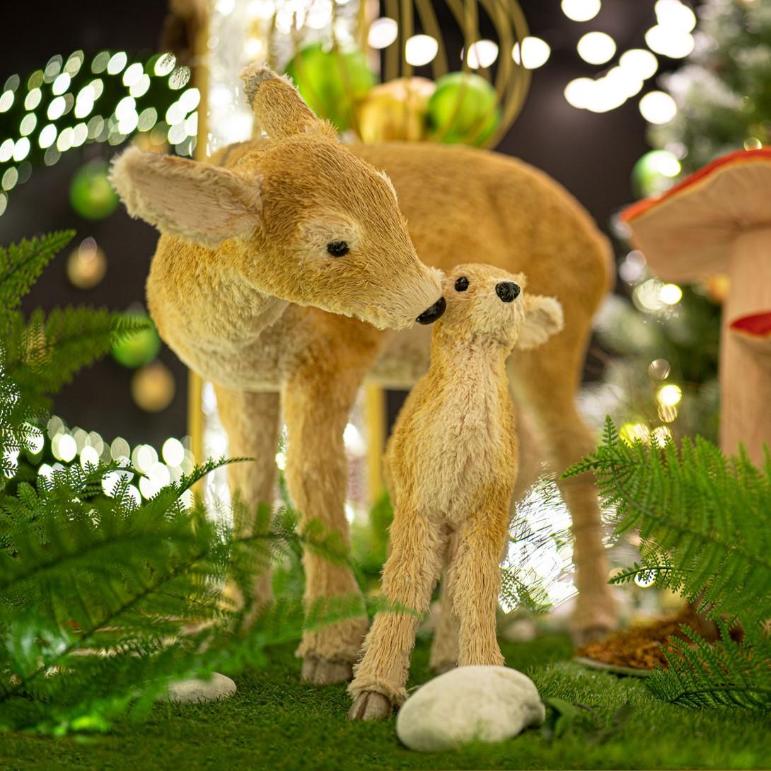 Set de biches "Boa Costa"