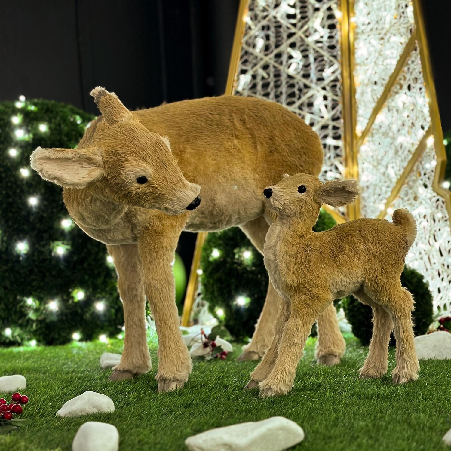 Set de biches "Boa Costa"