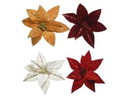 Poinsettia "Flora"