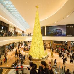 Sapin "Manhattan"