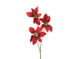 Poinsettia "Red Velvet"