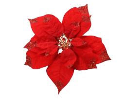 Poinsettia " Techna"