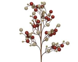 Branche "Cramberry"