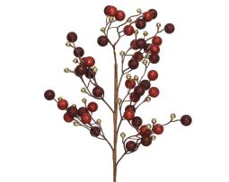 Branche "Kiss"
