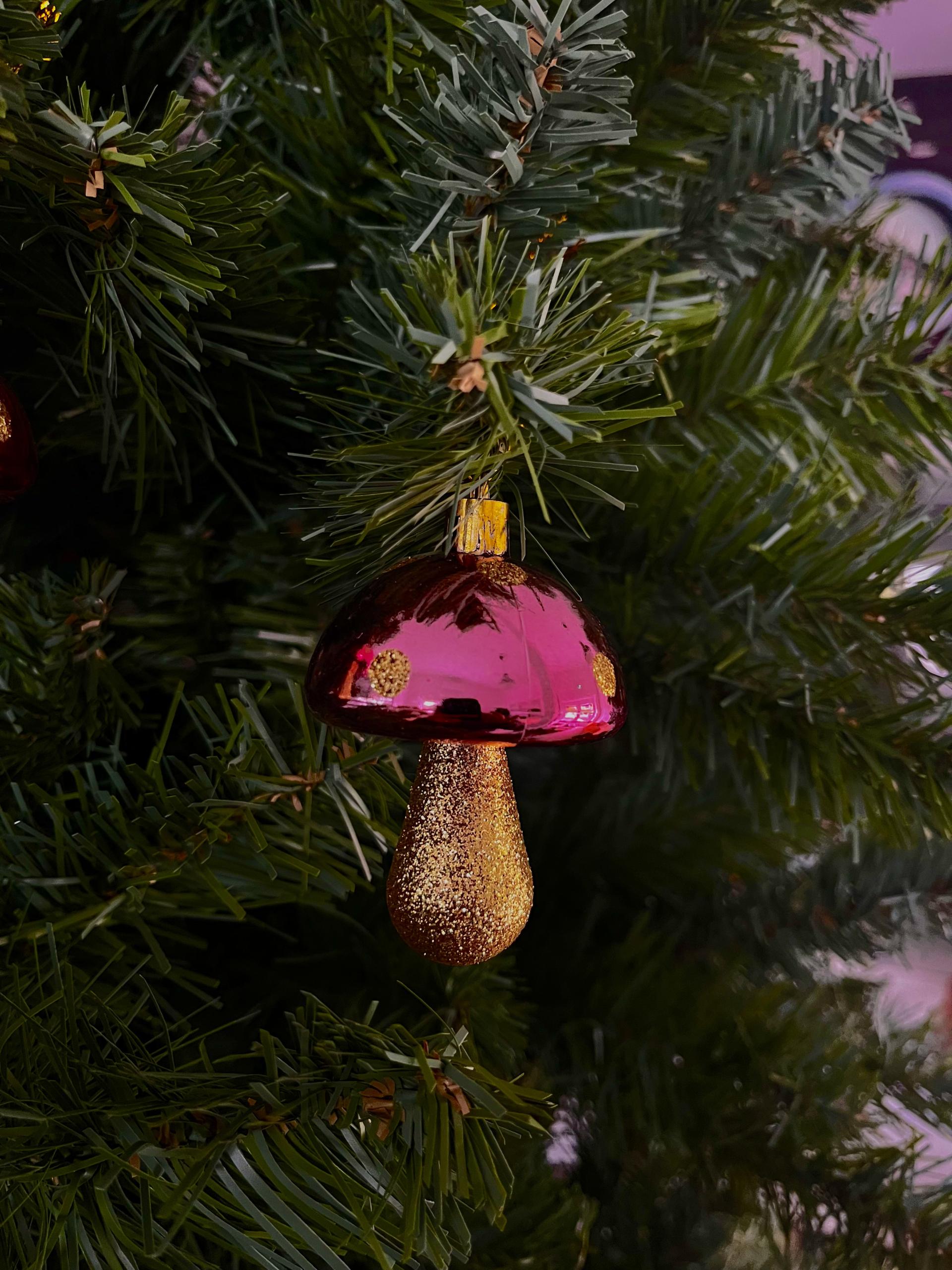 Champignon Rose et Doré