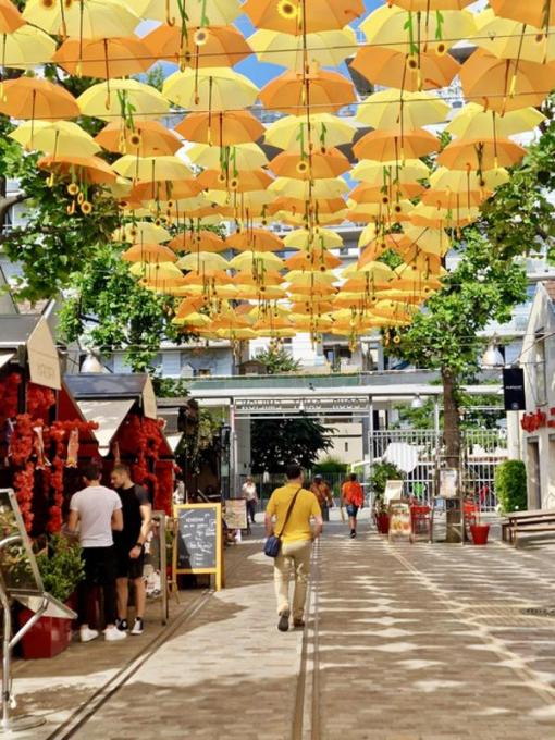 Sky Umbrella