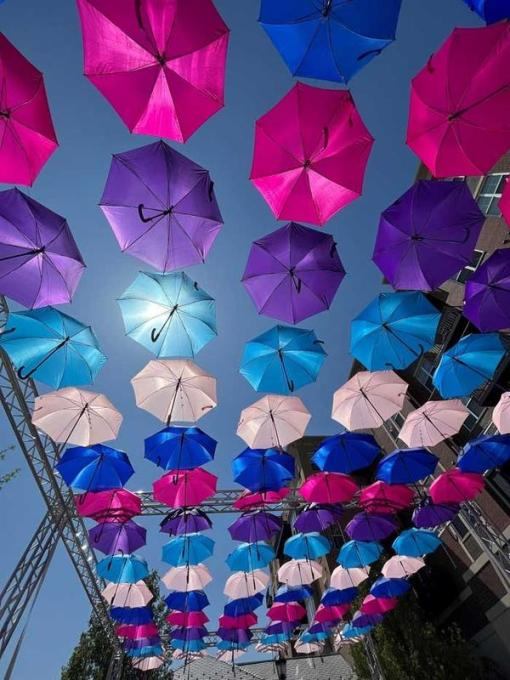 Sky Umbrella