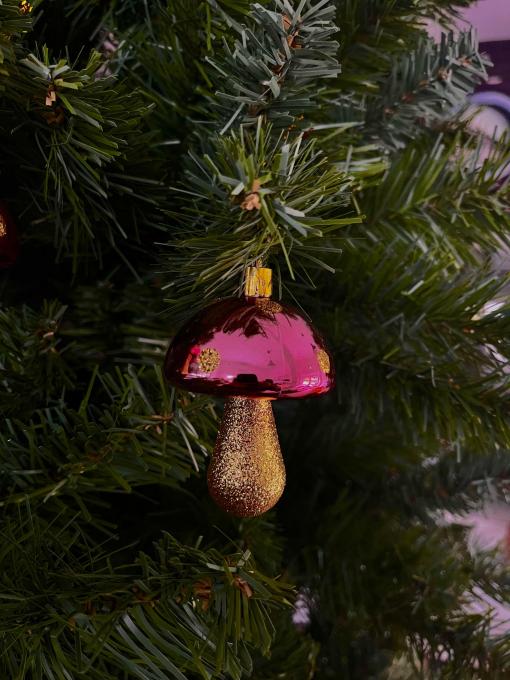 Champignon Rose et Doré