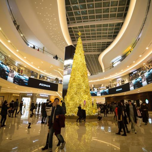 Sapin "Manhattan"