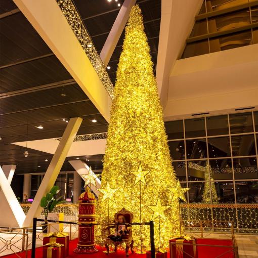 Sapin "Manhattan"