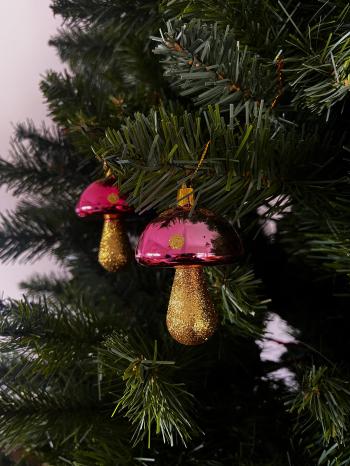 Champignon Rose et Doré