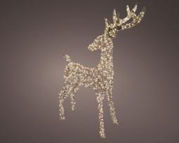 Renne "Dasher"