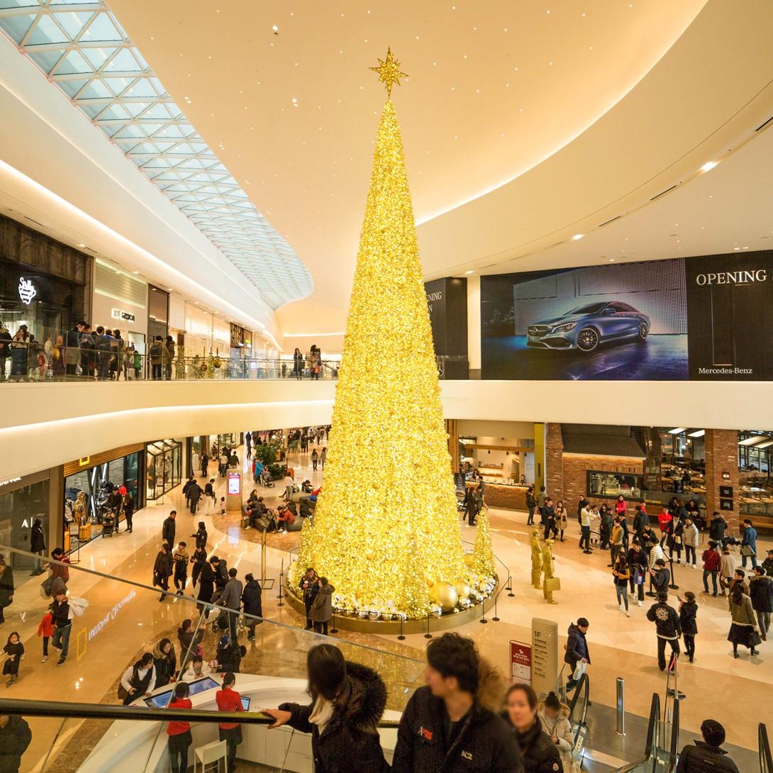 Sapin "Manhattan"